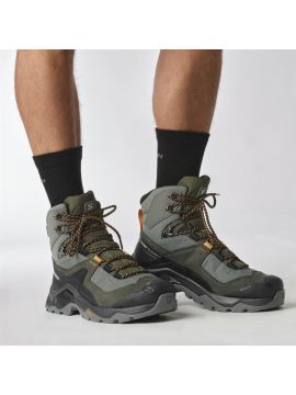 Кроссовки Salomon QUEST ELEMENT GORE-TEX Pewter/Beluga/Buckskin Male